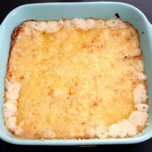 Gratin endives à la béchamel