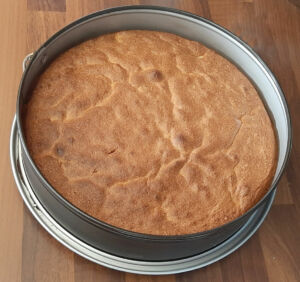 Gâteau moelleux à la mangue fraîche