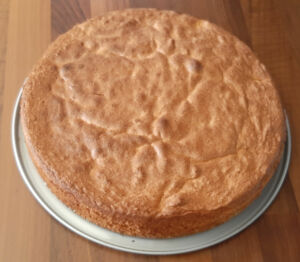 Gâteau moelleux à la mangue fraîche