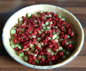 Tarte à la rhubarbe et aux framboises sur pâte sablée