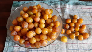 Comment congeler des mirabelles