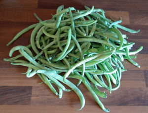 Comment congeler haricots verts