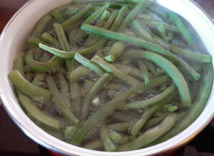 Comment congeler haricots verts