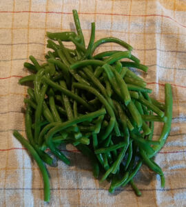 Comment congeler haricots verts