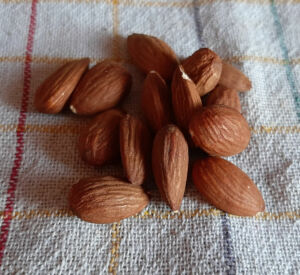 Comment torréfier les amandes