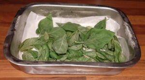 Congeler basilic