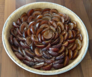 Tarte aux quetsches