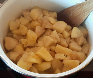 Compote pomme ananas