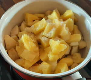 Compote pomme ananas