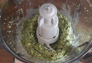 Pesto fanes de radis