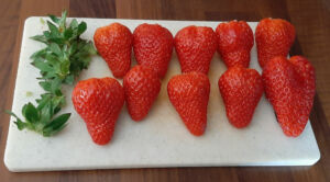 Soupe de fraise basilic