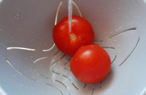 Verrine avocat thon tomate