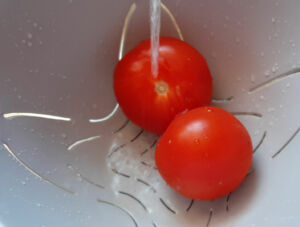 Verrines avocats crevettes