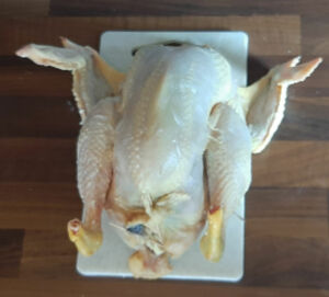 Poulet au four