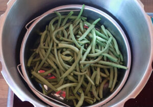 Cuisson haricots verts frais