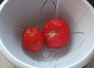 Salade de tomates