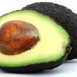 Avocat