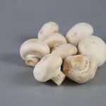 Champignon