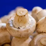 Champignons de Paris