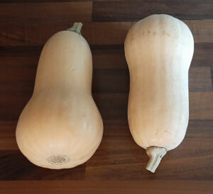 Couper un butternut