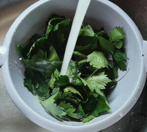 Pesto feuilles de céleri-branche