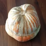 Courge giraumon