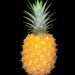 Ananas