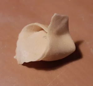 Cappellacci di zucca