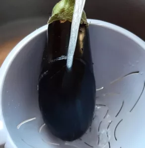 Caviar d'aubergine