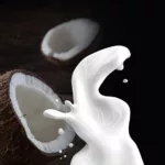 Lait de coco