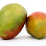 Mangue