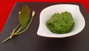 Pesto à l'ail des ours