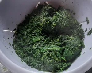 Lasagnes ricotta épinards