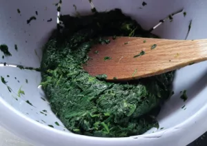 Lasagnes ricotta épinards