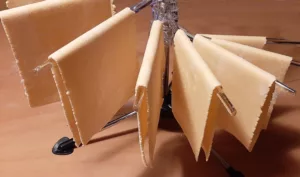 Lasagnes ricotta épinards