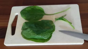 Lasagnes ricotta épinards