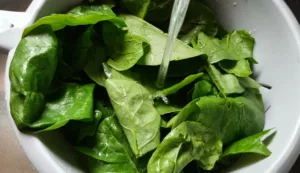 Lasagnes ricotta épinards