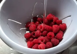 Clafoutis rhubarbe et framboises