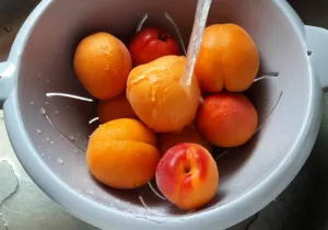 Clafoutis aux abricots