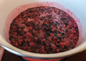 Confiture groseilles cassis