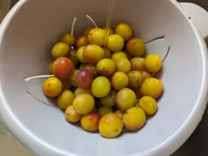 Confiture de mirabelles