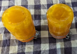 Confiture d'orange amère