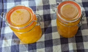 Confiture d'orange