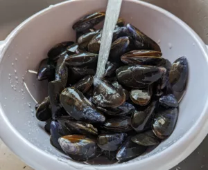 Moules de bouchot marinières