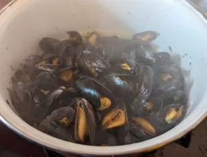 Moules de bouchot marinières