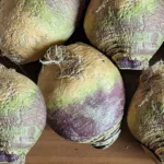 rutabaga