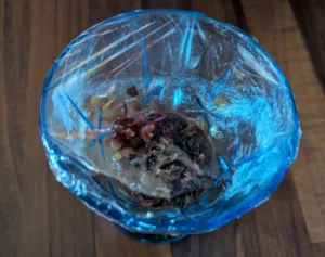 Foie gras aux raisins