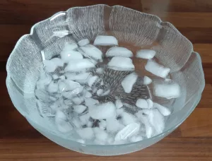 Foie gras aux raisins